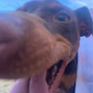 Meet your Posher, Johnny